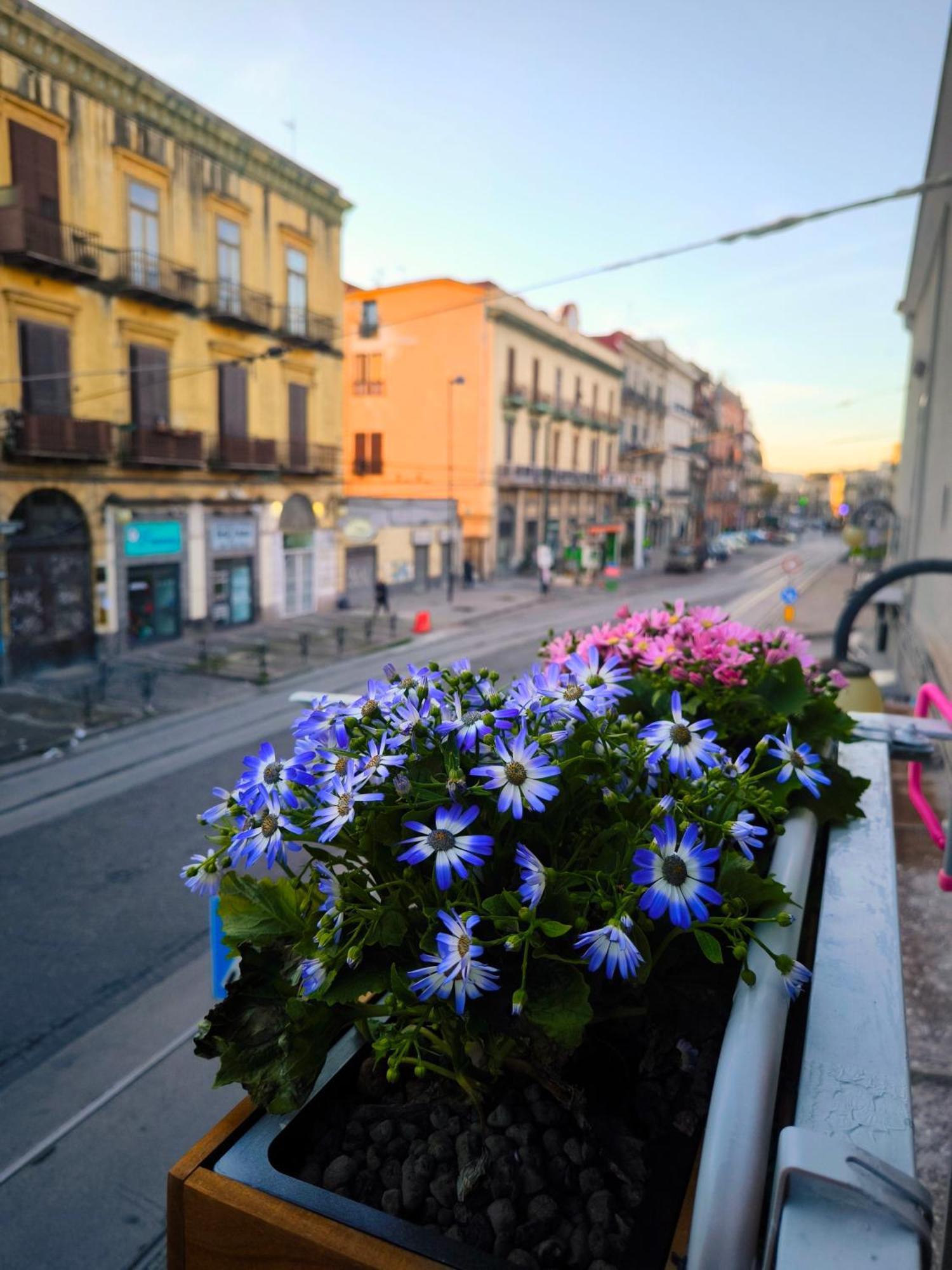 Casamira B&B Napoli Centrale エクステリア 写真
